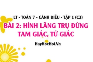 Công thức tính diện tích xung quanh và thể tích của hình lăng trụ đứng tam giác, tứ giác? Toán 7 bài 2 cd1c3